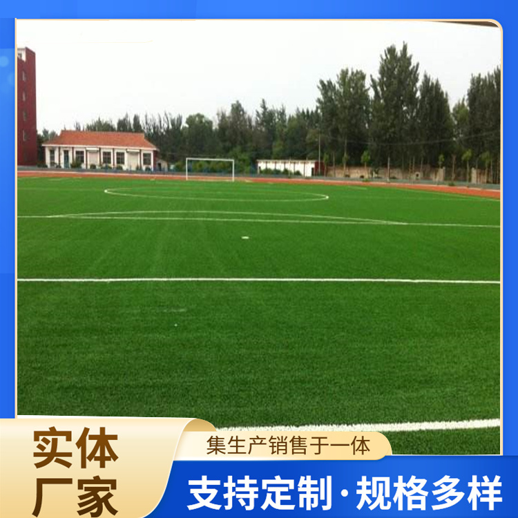 阜新市学校塑胶跑道人造草坪 - 厂家